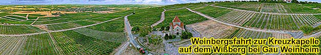 Planwagenfahrt am Wißberg bei Gau-Weinheim in Rheinhessen